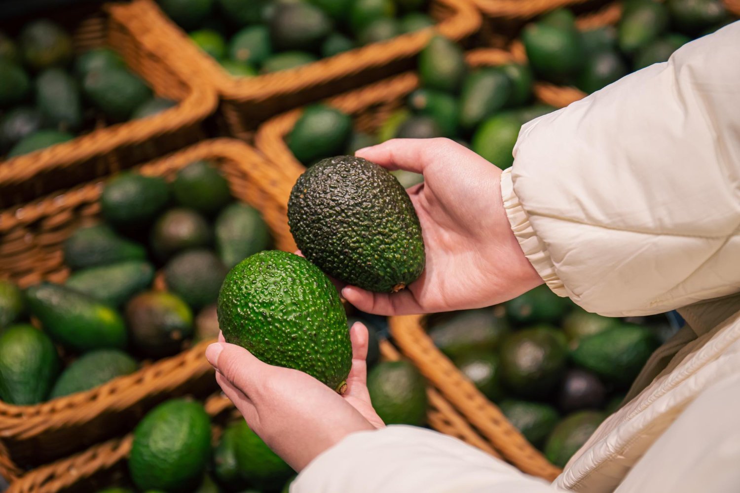 El aguacate Hass busca ganarle terreno al café en el Quindío